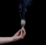 Sage Smudge Stick - 6 California White Sage Bundles Smudging Wands (Salvia Apian... - Image 3