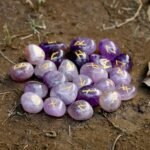 ZAICUS Amethyst Rune Stones - Gemstone Runes for Beginners Healing Crystal Kit A... - Image 5